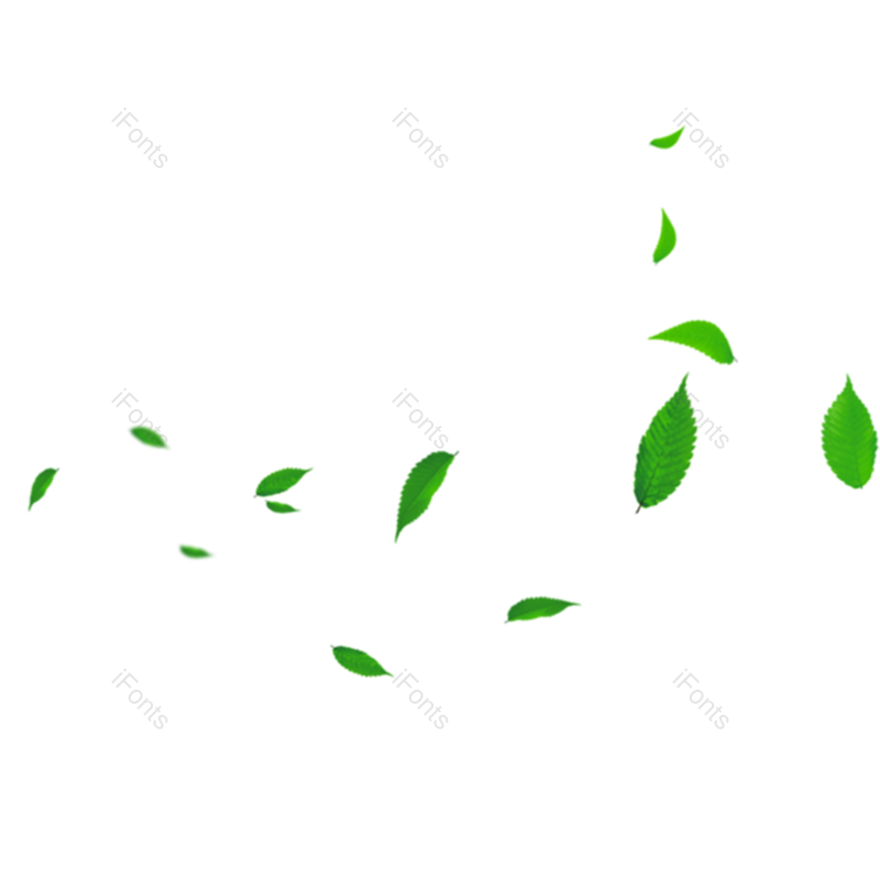 叶子图片,夏天元素,绿叶PNG,树叶免抠素材